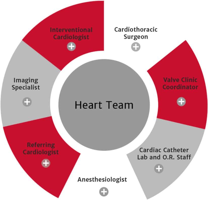 Heart Surgery Tourism: Accessing World-Class Cardiac Care