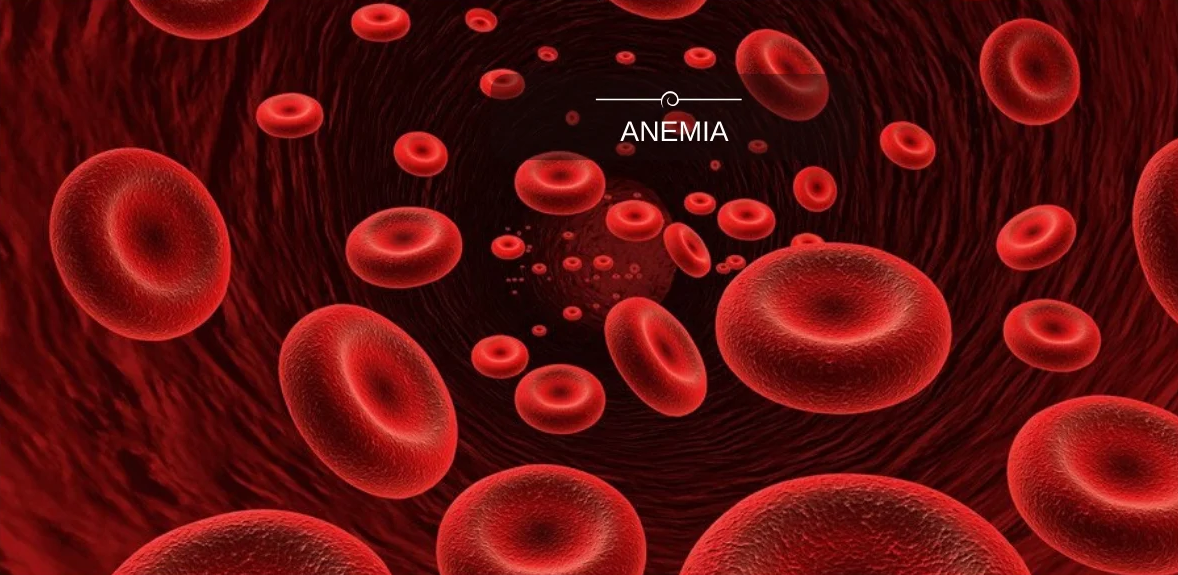 Understanding Anemia Causes Symptoms And Treatments 9989