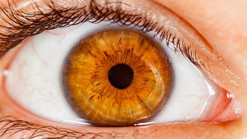 Hypertension Lead To Eye Complications