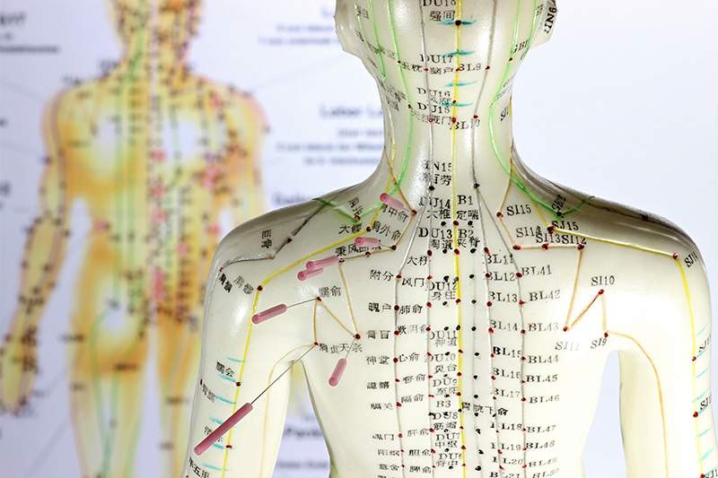 Meridians And Acupuncture Points