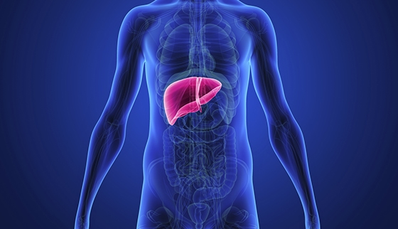 The Impact Of Hypertension On Liver Health