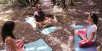 Forest Bathing Meditation