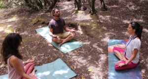 Forest Bathing Meditation