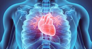 Beta Blockers In Cardiovascular Health