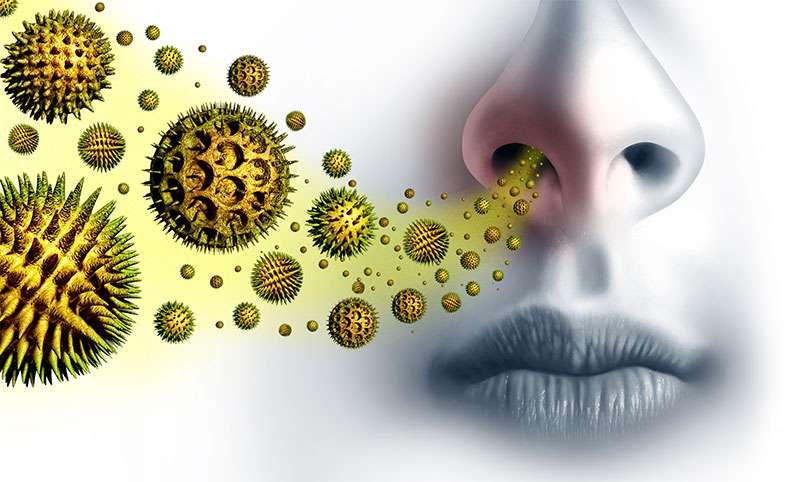 Viruses Trigger Allergic Reactions