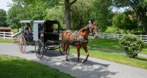 Medicaid Expansion Crucial for Amish Communities